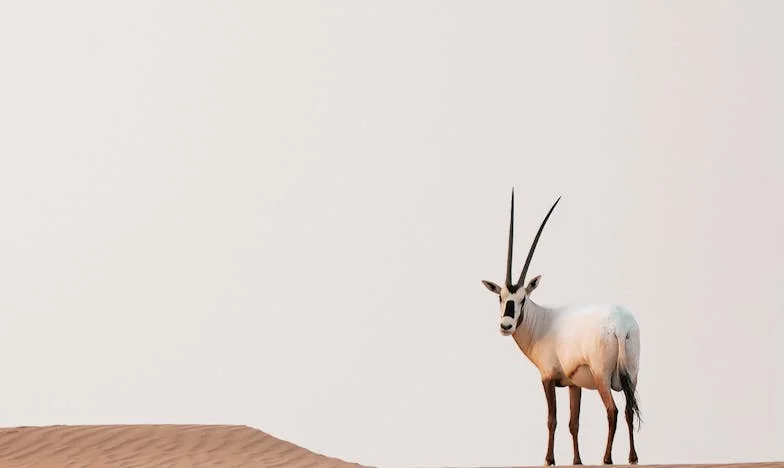 Cień na ulicy i prawda, której nikt nie chciał słyszeć