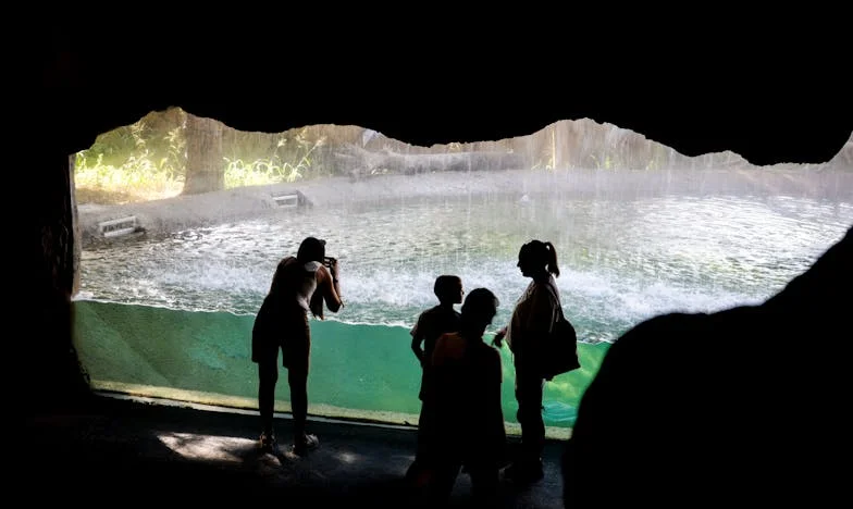 Cisza w domu, cisza w sercu – historia niespełnionego marzenia matki