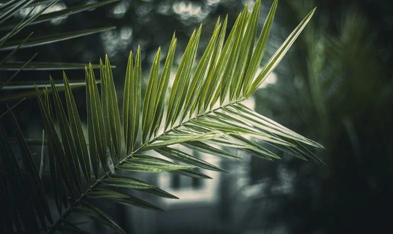 Dom, który nas podzielił: Jak spadek po ojcu rozbił moją rodzinę