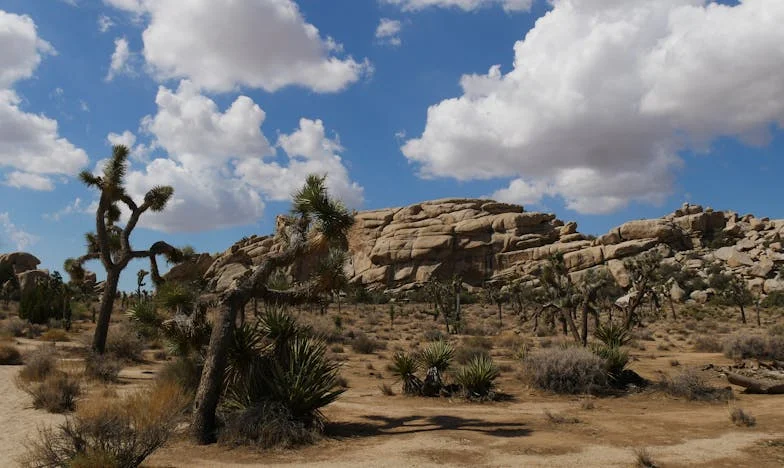 Dzieci o mnie zapomniały: jeśli nie zmienią się, sprzedam wszystko i wyjadę do domu spokojnej starości