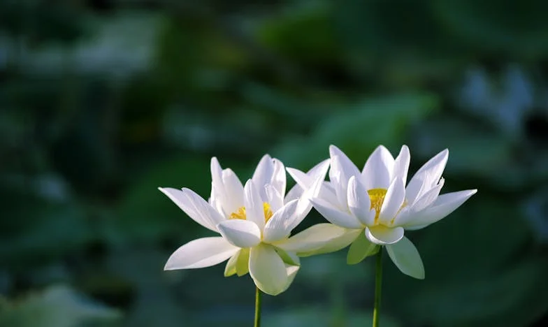 Gdy wszystko zniknęło — opowieść Jakuba o stracie, rodzinie i ciszy
