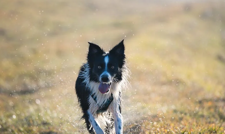 „Mamo, dlaczego tata już nas nie kocha?” – historia dziewczynki, która musiała dorosnąć w jeden wieczór