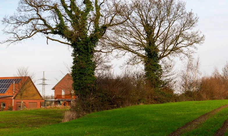 Między dwiema miłościami: Gdy córka nie akceptuje mojej nowej szansy na szczęście