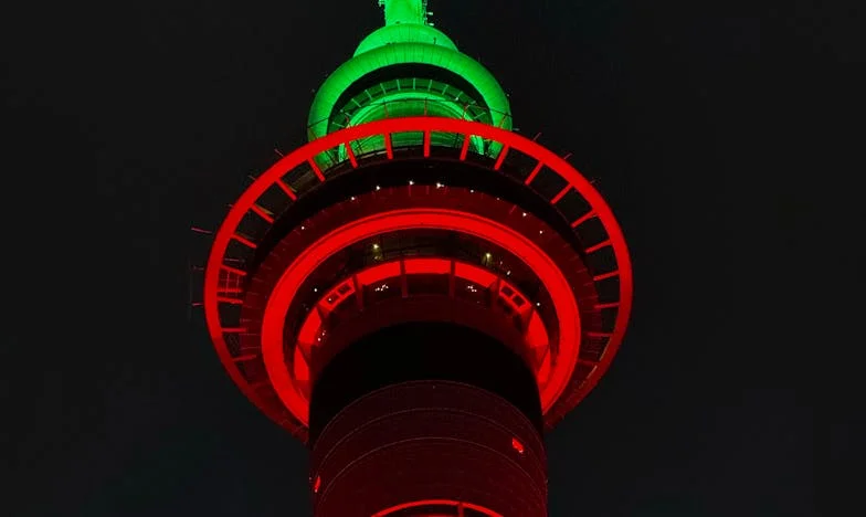 Miłość czy lojalność? Historia kobiety rozdartej między mężem a wnukami – wyznanie Marii Nowak z Krakowa