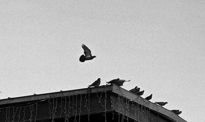 Miłość, która kosztowała zbyt wiele: Historia o utraconych złudzeniach