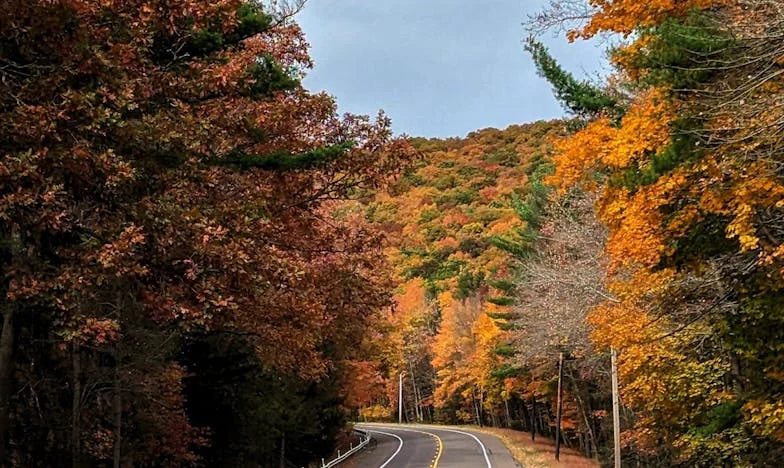 Miłość nie zna granic – Historia Jadwigi i Marka ze Szczecina