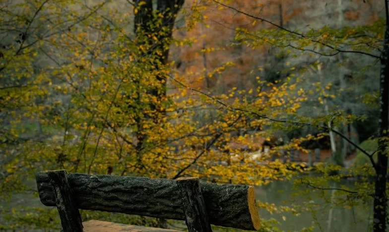 „Natalia, możesz pomóc z dziadkiem Władkiem?” – Jak jeden telefon wywrócił moje życie do góry nogami