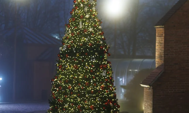 „Nie chcę tu mieszkać!” – Jak teściowa zniszczyła nasz spokój