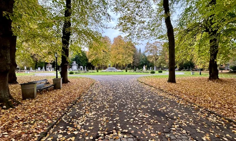 Nie Zaprosiłam Mamy na Wesele: Prawda, Która Rozdarła Naszą Rodzinę