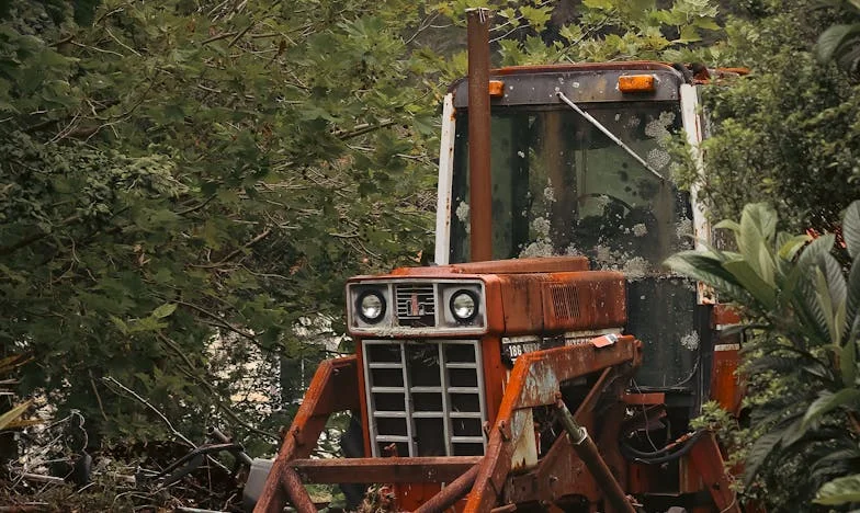 Niewidzialna Przepaść: Jak Moja Córka Zniknęła z Mojego Życia