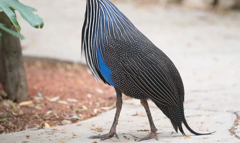 Obca rodzina stała się moją – historia, której nigdy nie chciałem przeżyć