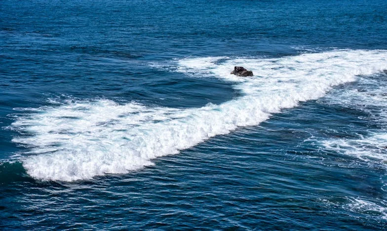 "Przepisz wszystko na mnie! Dlaczego mu uwierzyłaś? On cię tylko oszukuje!" – Moja walka o dom, córkę i godność po zdradzie męża