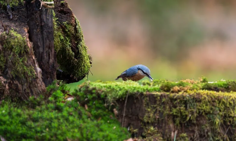 Siedemdziesiąte urodziny, które rozdarły moją rodzinę – czy własne szczęście warte jest tej ceny?