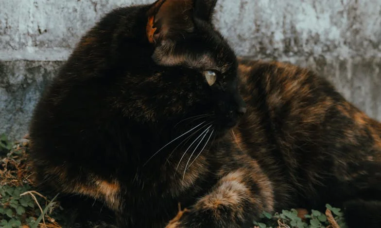 Sobota w Biedronce: Jak jedno nieporozumienie odebrało mi godność i zmieniło moje życie