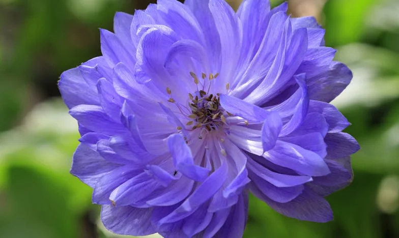 „Spakuj się i wracaj do mamy!” – Jak moja teściowa rozbiła naszą rodzinę po narodzinach syna