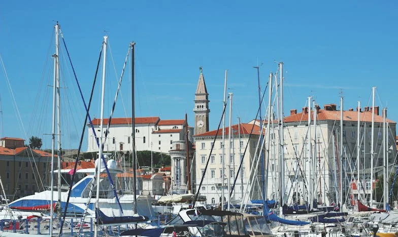 Tchynina propozycja: Wymieńmy się mieszkaniami, ale pod jednym warunkiem…