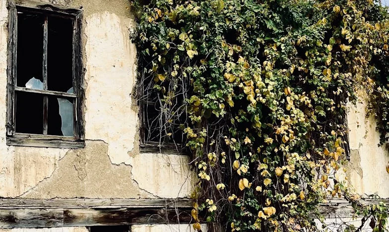 „To tylko obiad, co za problem?” – Jak jedno zdanie mojego męża wywróciło nasze życie do góry nogami