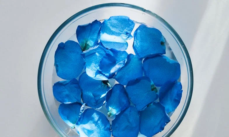 Winny Bez Winy: Moje Życie Pod Ciężarem Oczekiwań Mojej Matki