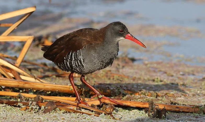 Zaproponowałam test na ojcostwo teściowej i rozpętało się piekło – czy można to jeszcze naprawić?