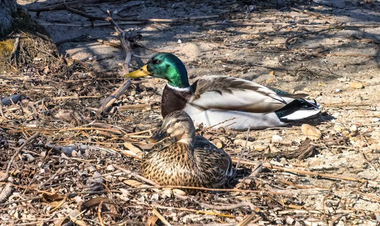 Zdjęcie, które zmieniło wszystko: Historia Jakuba i tajemnicy zaginionego ojca