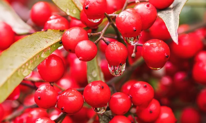 Kiedy miłość mojego syna rozdarła naszą rodzinę