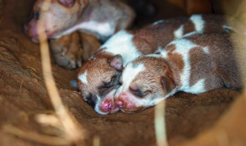 Między Wstydem a Wolnością: Moje Życie po Zdradzie