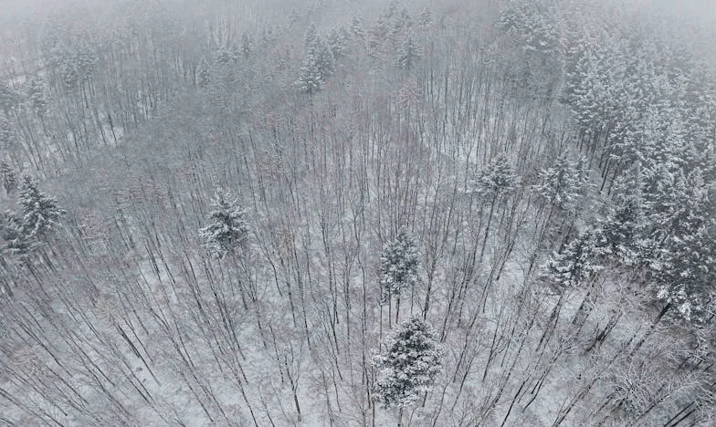 Porzucona przed ołtarzem: Moja walka o miłość, godność i własne szczęście