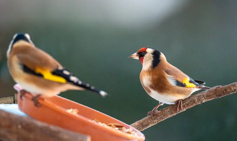 Resztki, które uratowały moją rodzinę: Prawda, której nikt nie chciał zobaczyć