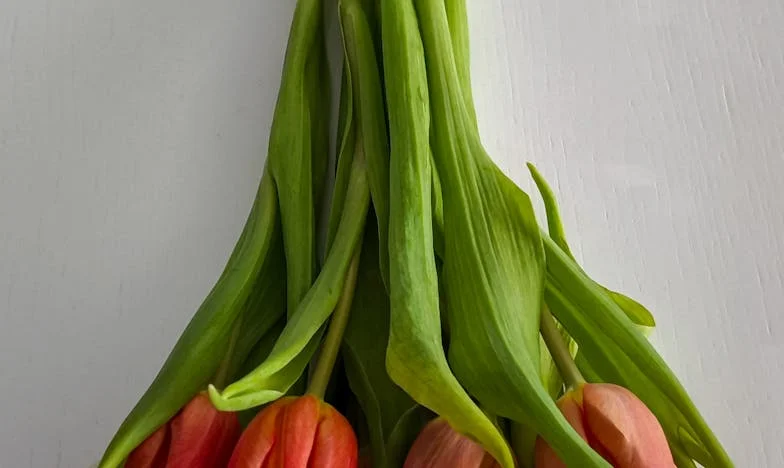 Rodzinne sekrety, które zmieniły wszystko: Opowieść Zofii Maj