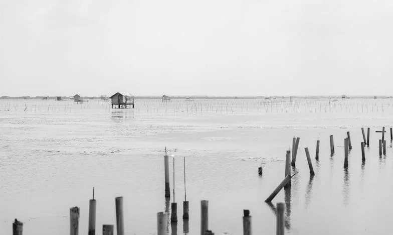 Strach o przyszłość mojego syna: Spadek, rodzina i ciężar decyzji