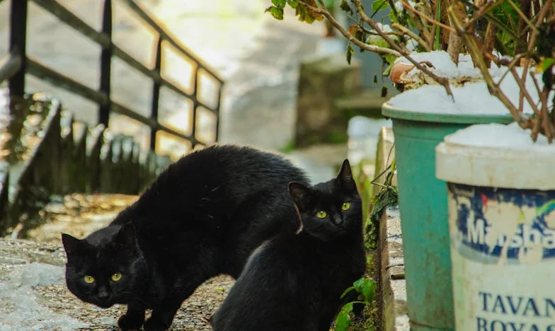 Ucieczka z domu: Kiedy miłość staje się ciężarem