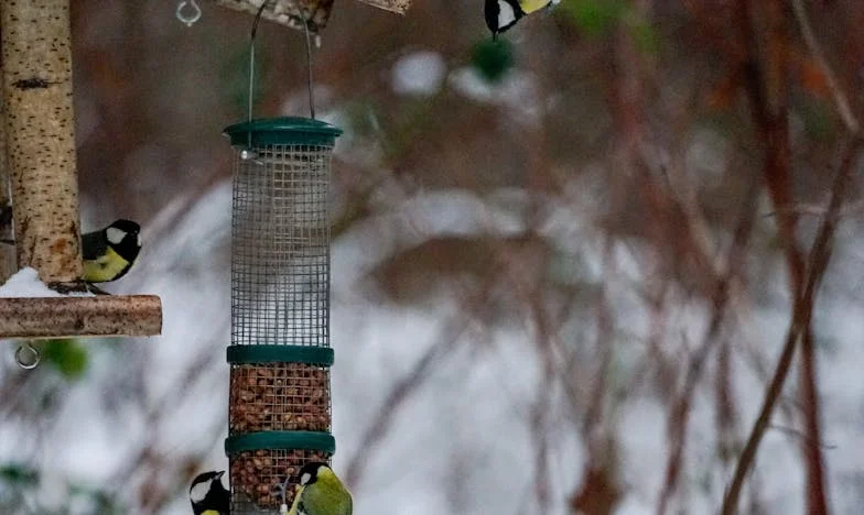 Wszystko spadło na mnie: Opowieść córki, która zawsze musiała być silna