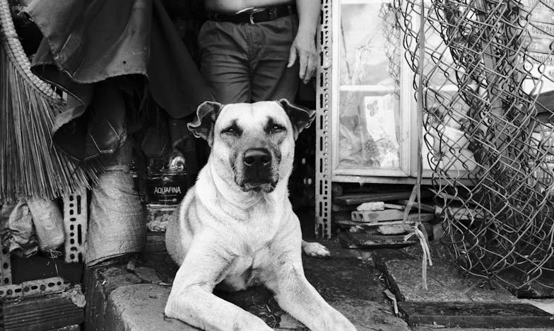 Za późno podjęta decyzja: Kiedy sprowadziłam mamę do siebie, nic nie było takie, jak oczekiwałam