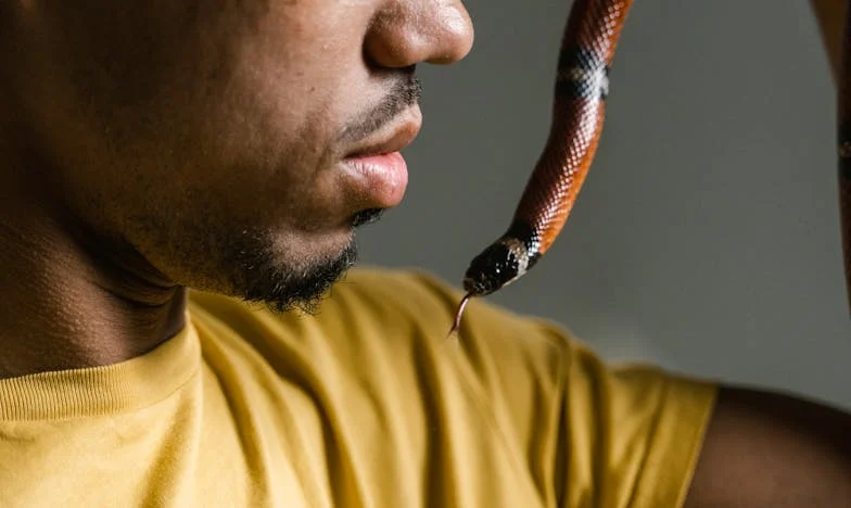 Złamane skrzydła: Walka Katarzyny o własne życie