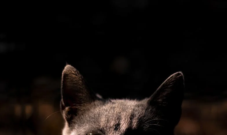 Zostawić rodzinę za sobą: Czy naprawdę jestem egoistą?