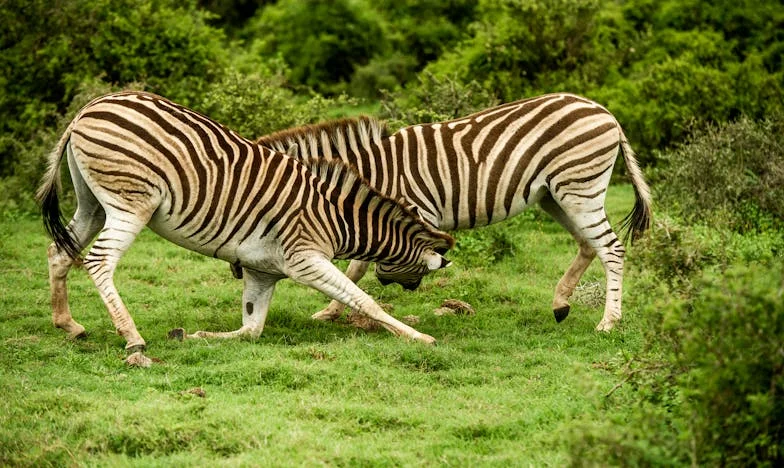 „Mamo, tu jeszcze brudno!” – Jak jedna rodzina rozpadła się przez niewypowiedziane żale i ciche wojny domowe