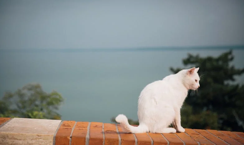 Nie wiem, ile mama dostaje emerytury – czy to naprawdę nie moja sprawa?