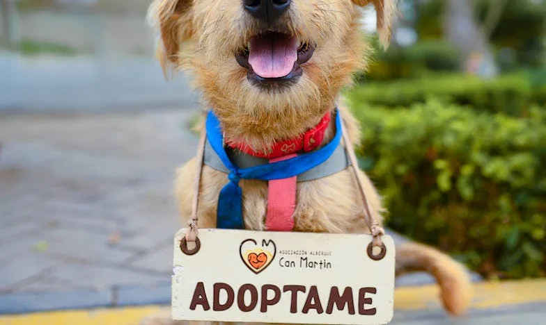 Drżały mi ręce na ławce w warszawskim parku, a mama wciąż dzwoniła: „Wracaj do domu” — tylko że domu już nie było