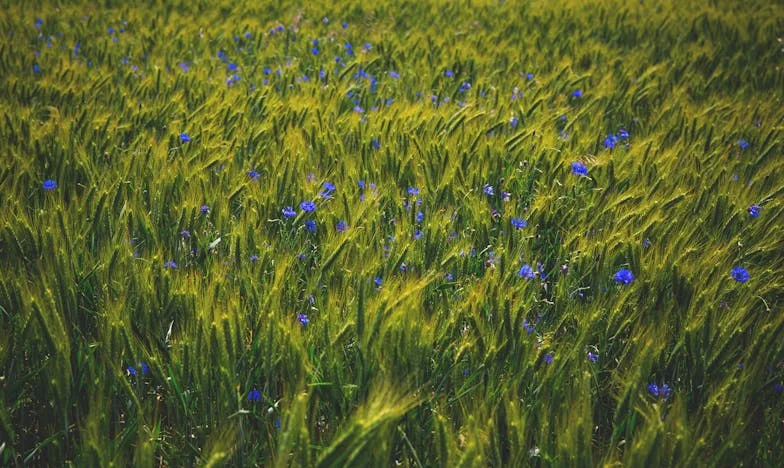 „Jesteś tylko fryzjerką” – kiedy duma zabija miłość i rodzi we mnie odwagę