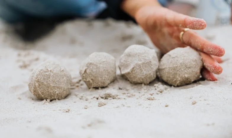 Kiedy menu się zmienia: Rodzinny obiad, który wszystko wywrócił do góry nogami