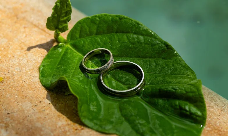 Mamo, daliśmy Ci pieniądze: dlaczego dzieci nie były nakarmione? – Odkrycie, które zmieniło moją rodzinę na zawsze