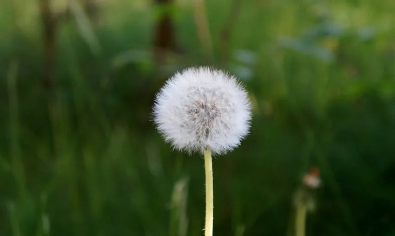 Miłość, która przegrała z matką — wybór, którego nie da się cofnąć