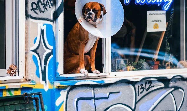 Od dnia, gdy upadła łyżka – Historia Marii Kowalczyk