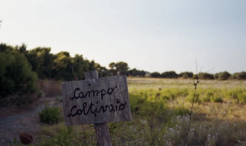 Ojczym czterech córek – dwadzieścia lat kłamstwa, które zmieniło wszystko