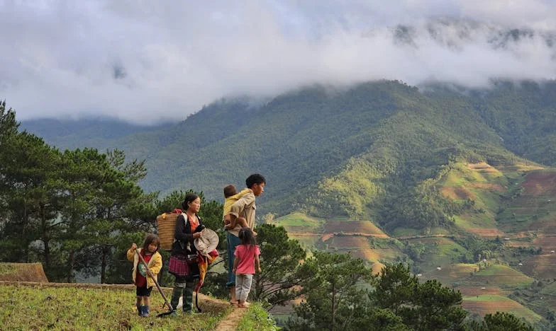 Sylwestrowy Rozłam: Między Huczną Imprezą a Ciszą Domowego Ogniska