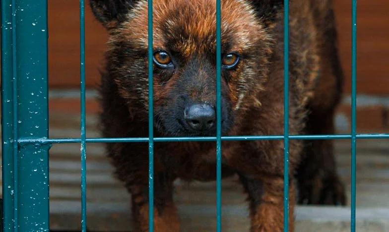 Zostawili mnie na lotnisku bez grosza. Myśleli, że wreszcie się mnie pozbyli.