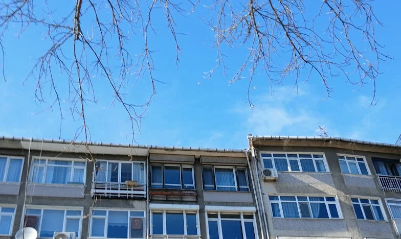 Byłam gotowa przelać pieniądze za mieszkanie, ale wtedy moja córka wybuchła – i miała rację