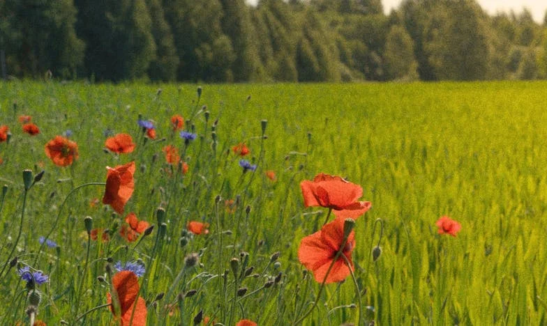 Dostaliśmy mieszkanie od moich rodziców — a teściowa już „ustaliła”, że oddamy je jej córce