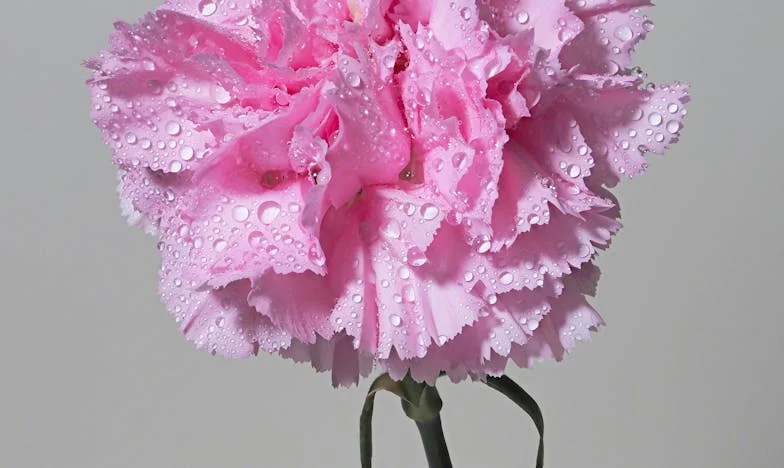 Gdy zostałam sama z synkiem, teściowa przyszła z propozycją, która złamała mi serce