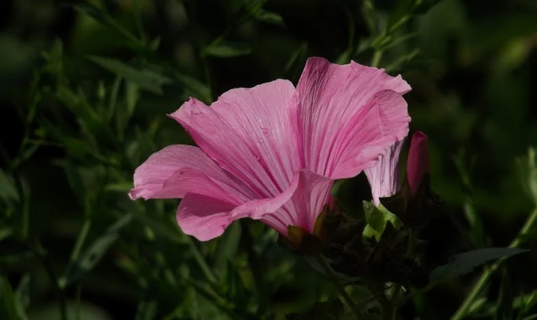 Kartka na lodówce: Dziennik, 5 listopada